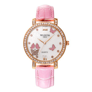 Dw Ladies Watch